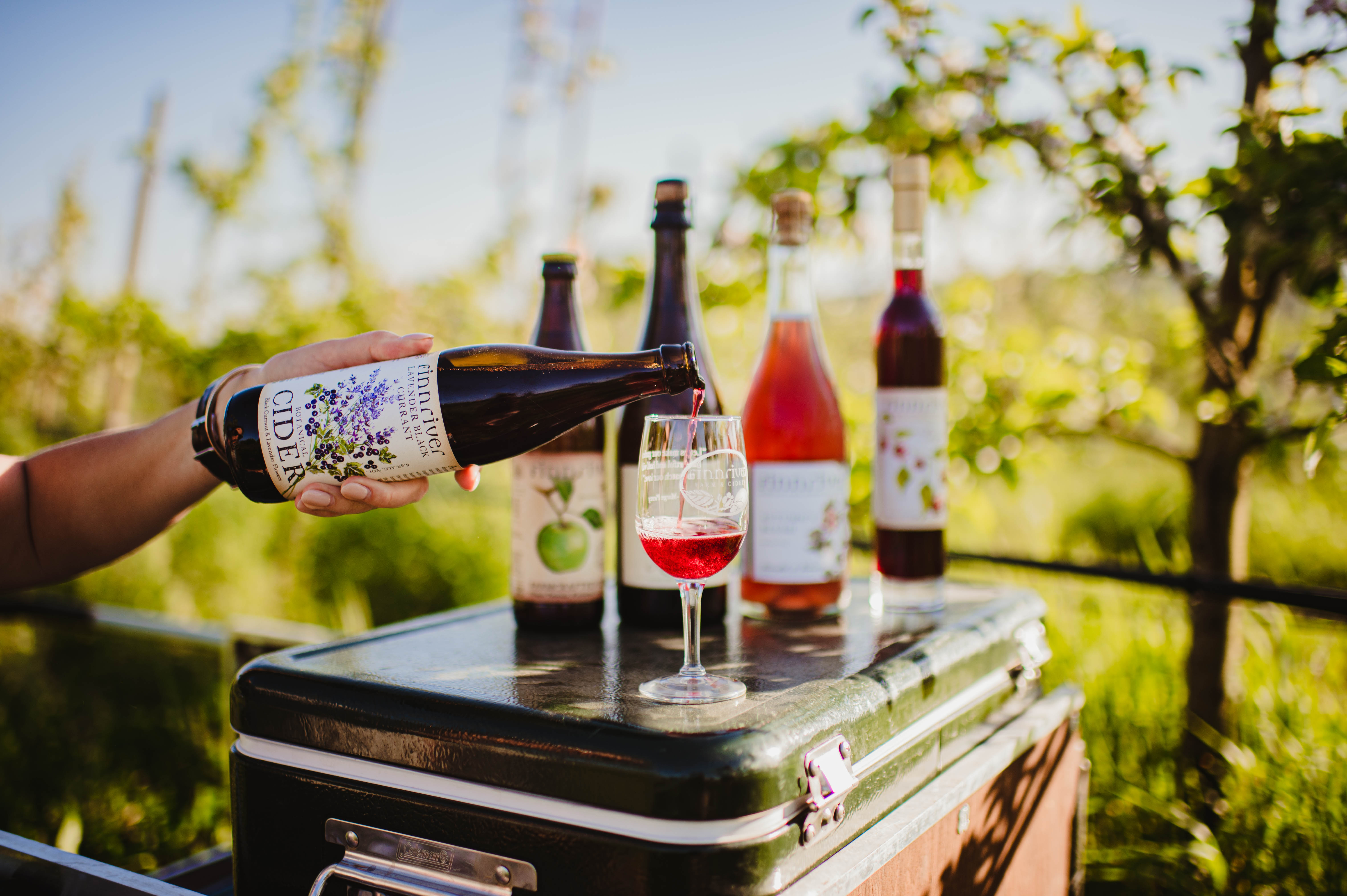 Product Image for FARM & CIDERY TASTING TOURS (6/7/26)