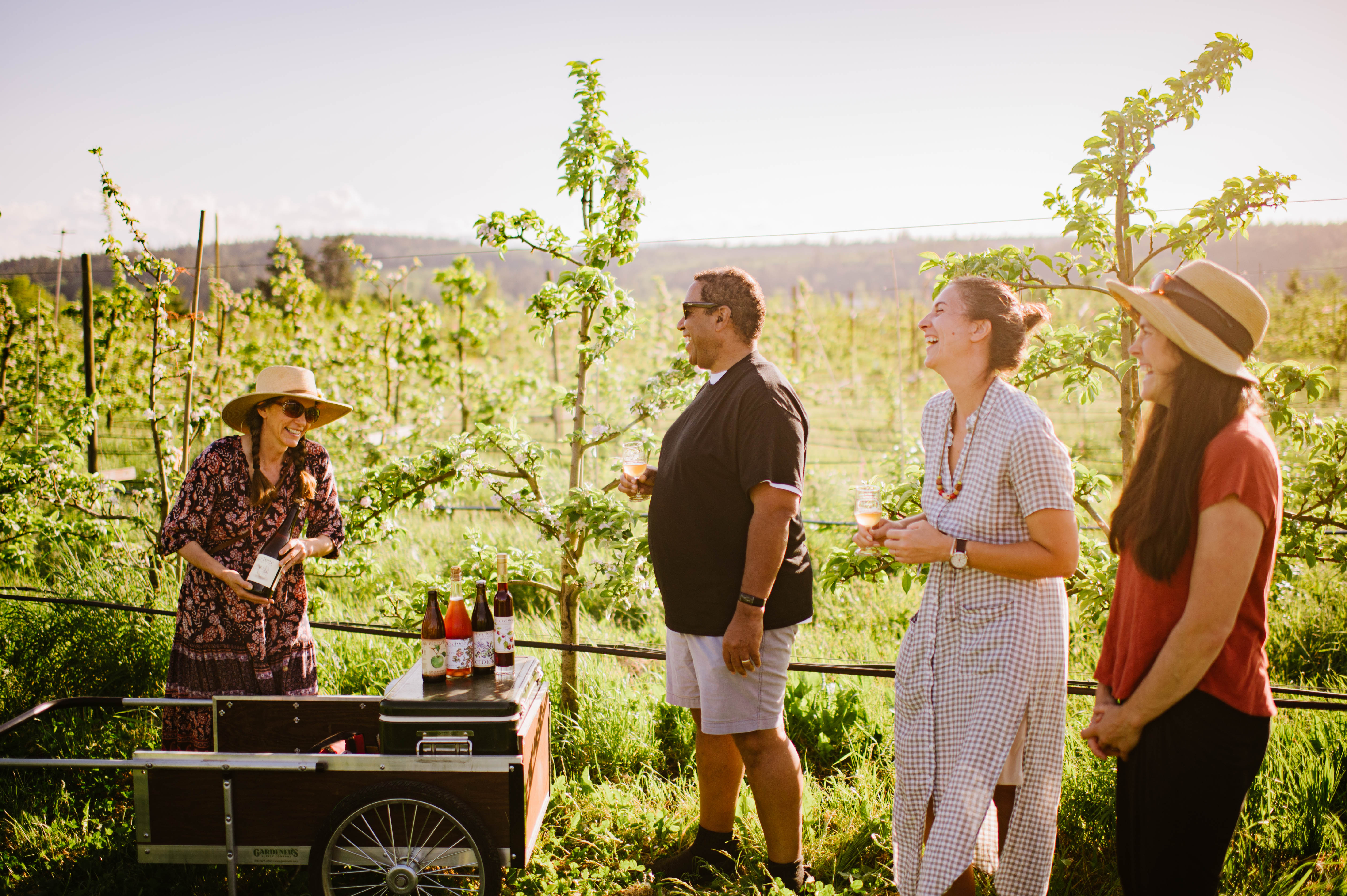 Product Image for FARM & CIDERY TASTING TOURS (8/1/26)