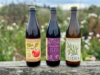 Bounty of the Branches Trio
