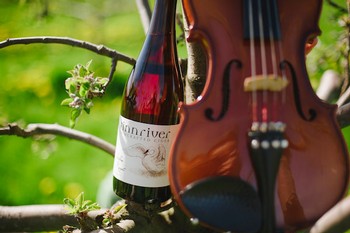 Orchard Tour and Cider Tasting (9/25 at 3pm)