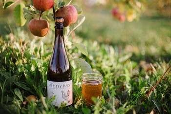 Orchard Tour and Cider Tasting (10/09 at 1pm)
