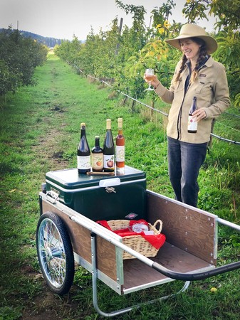 Orchard Tour and Cider Tasting (6/4 at 3pm)