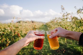 Orchard Tour and Cider Tasting (09/24 at 1pm)