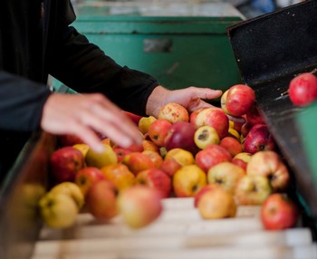 FARM & CIDERY TASTING TOURS (1/04/25, 1pm)