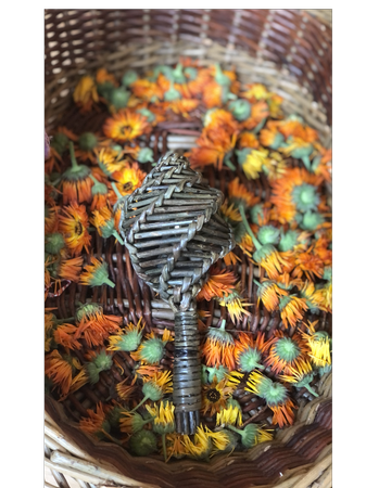 Willow Rattle Making Workshop