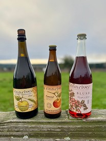 Celebratory Cider Gift Set