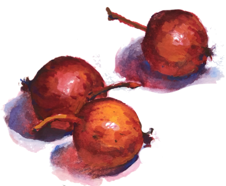 Product Image for Dolgo Crabapple
